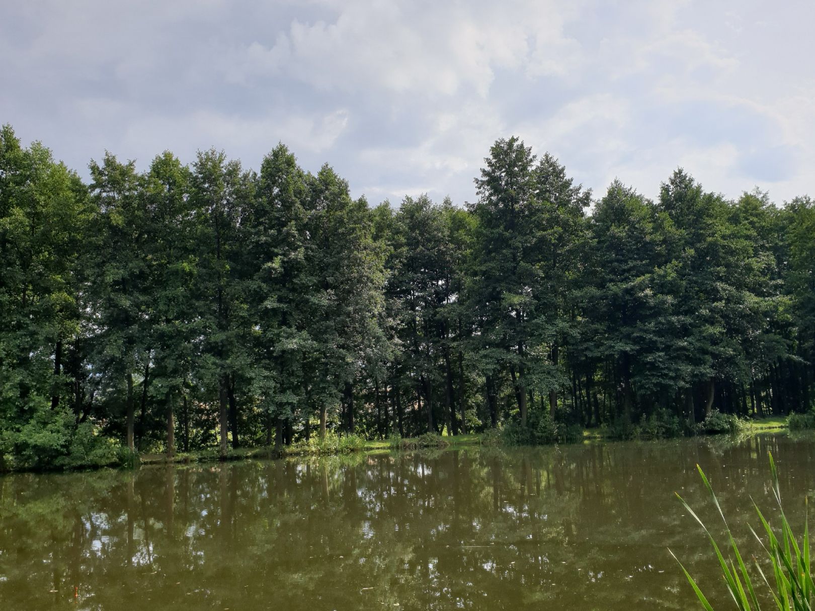 Speicher Schloßig angeln