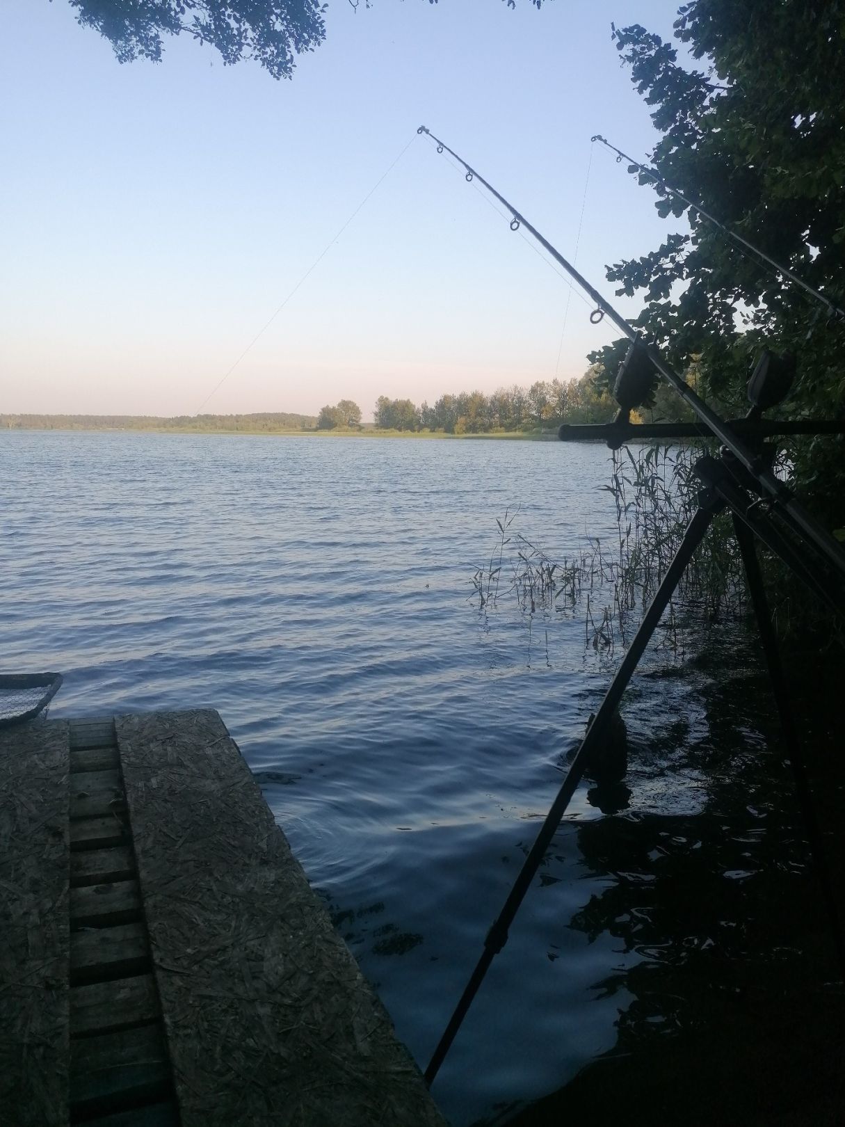 Feisnecksee angeln