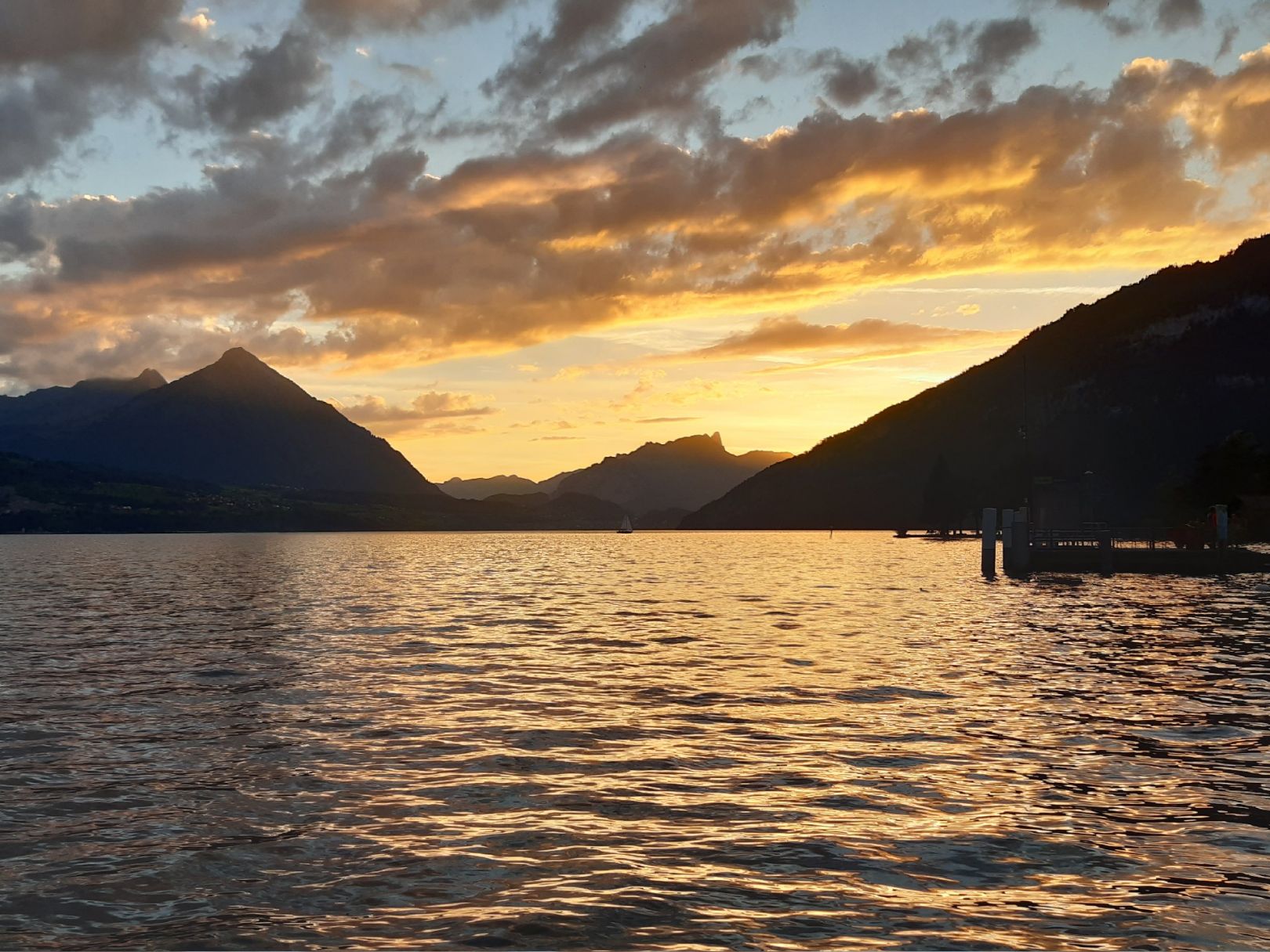 Brienzersee angeln