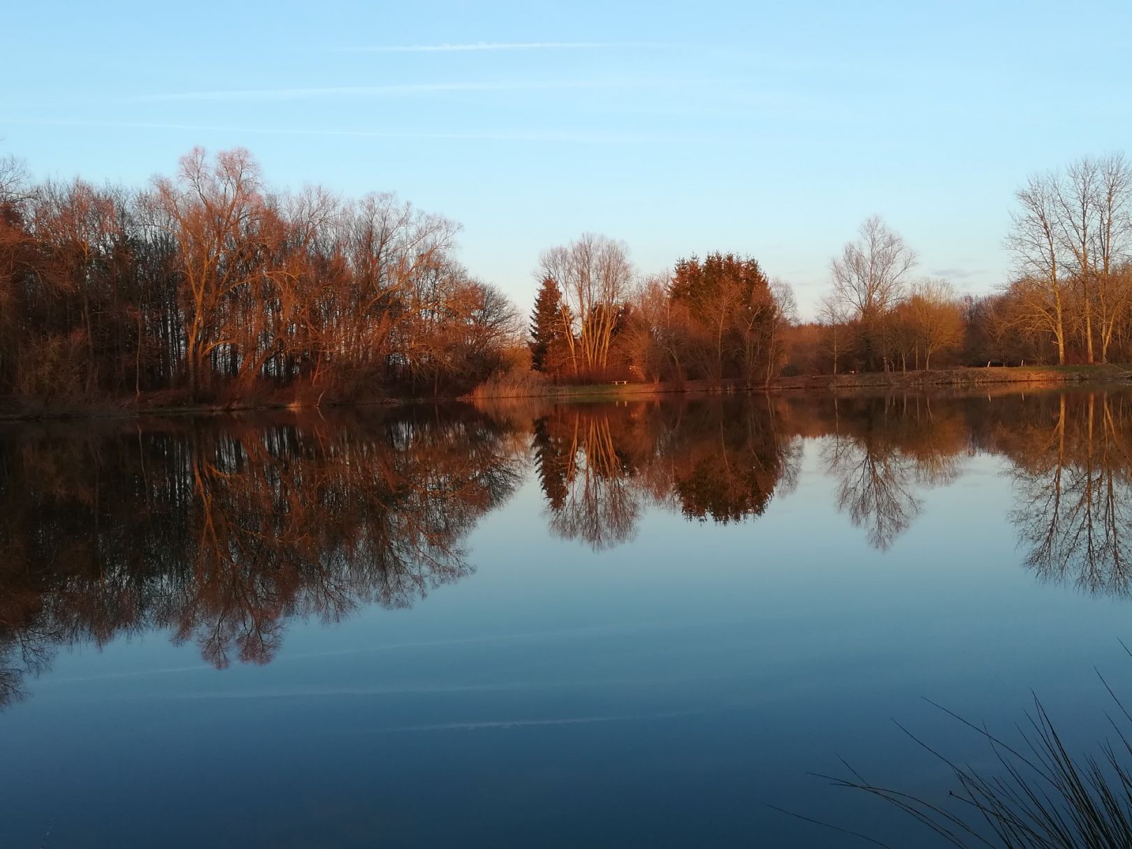 Baggersee Ellgau angeln