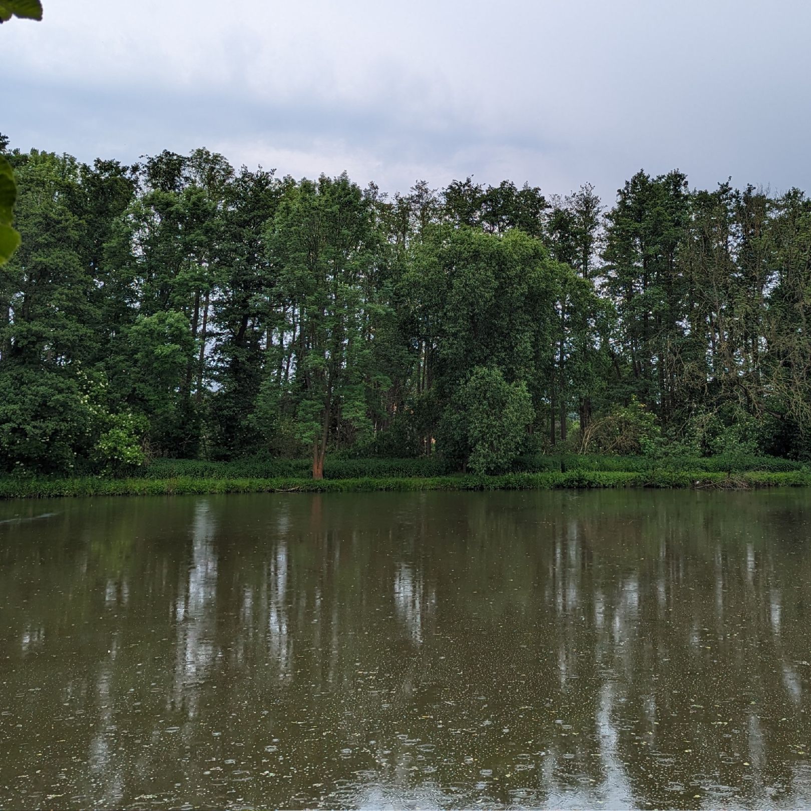 Dorfteich Bornitz angeln