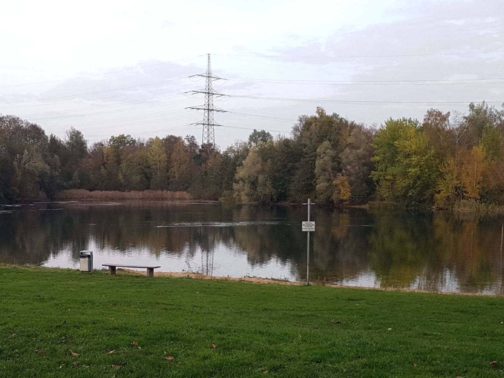 Großer Silbersee (Leverkusen) angeln