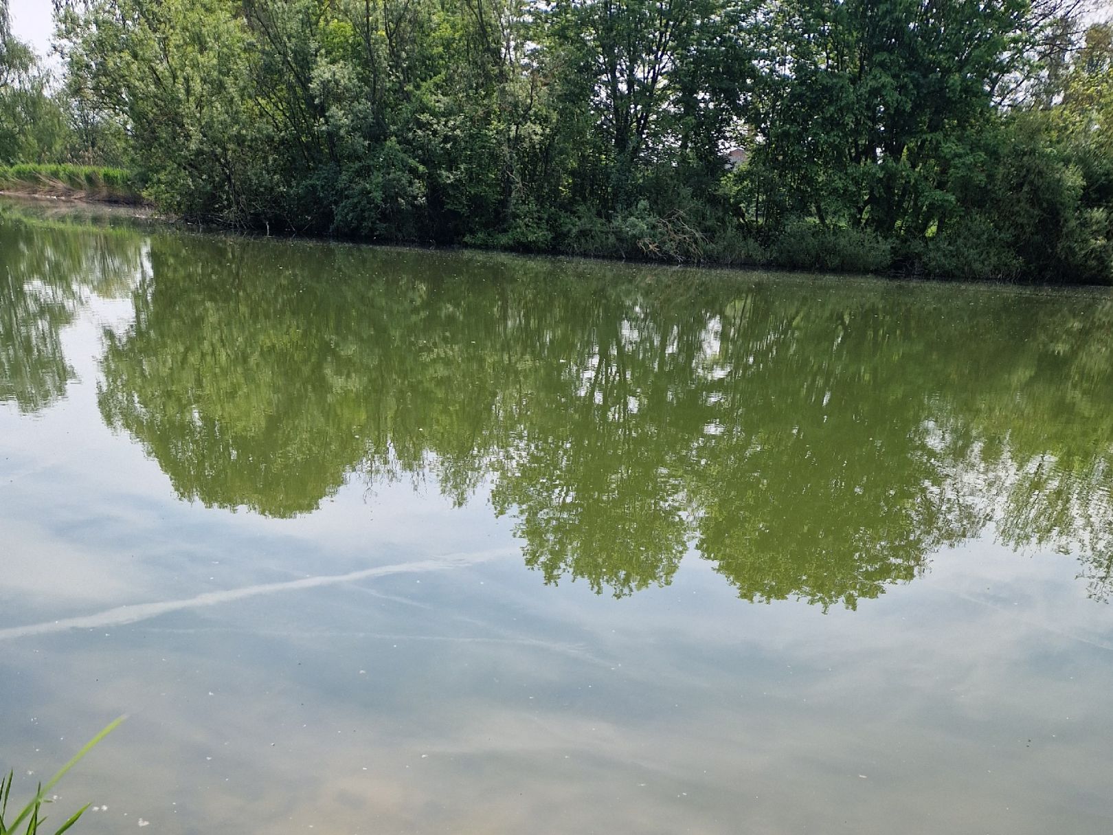 Anglerteich Kindelbrück angeln