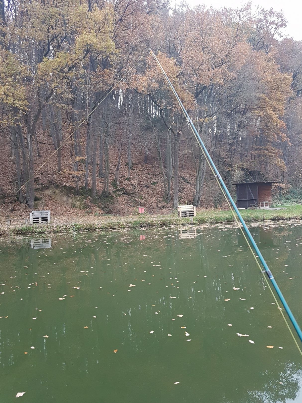 Angelpark Krumbachsmühle | ALLE ANGELN