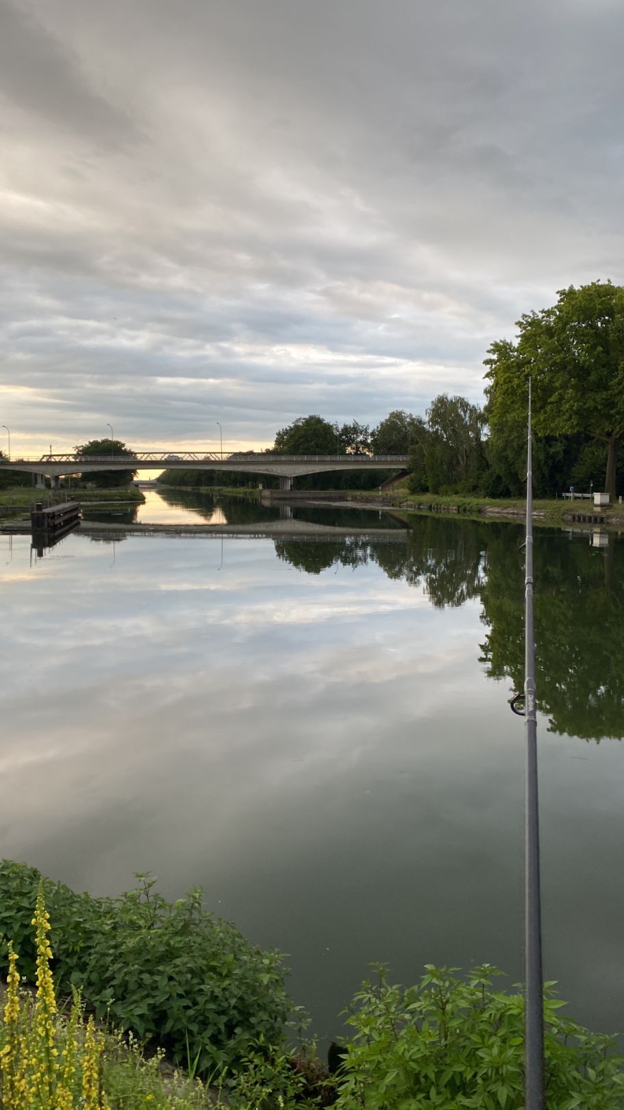 Zuid-Willemsvaart (Maasmechelen) angeln