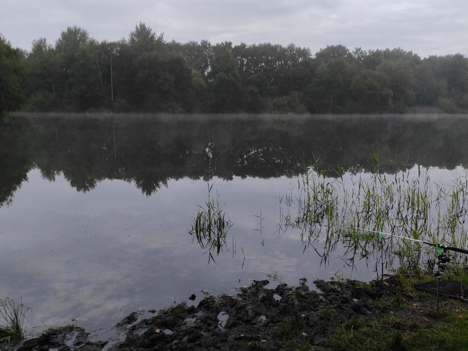 Rückhaltebecken Lentföhrden angeln