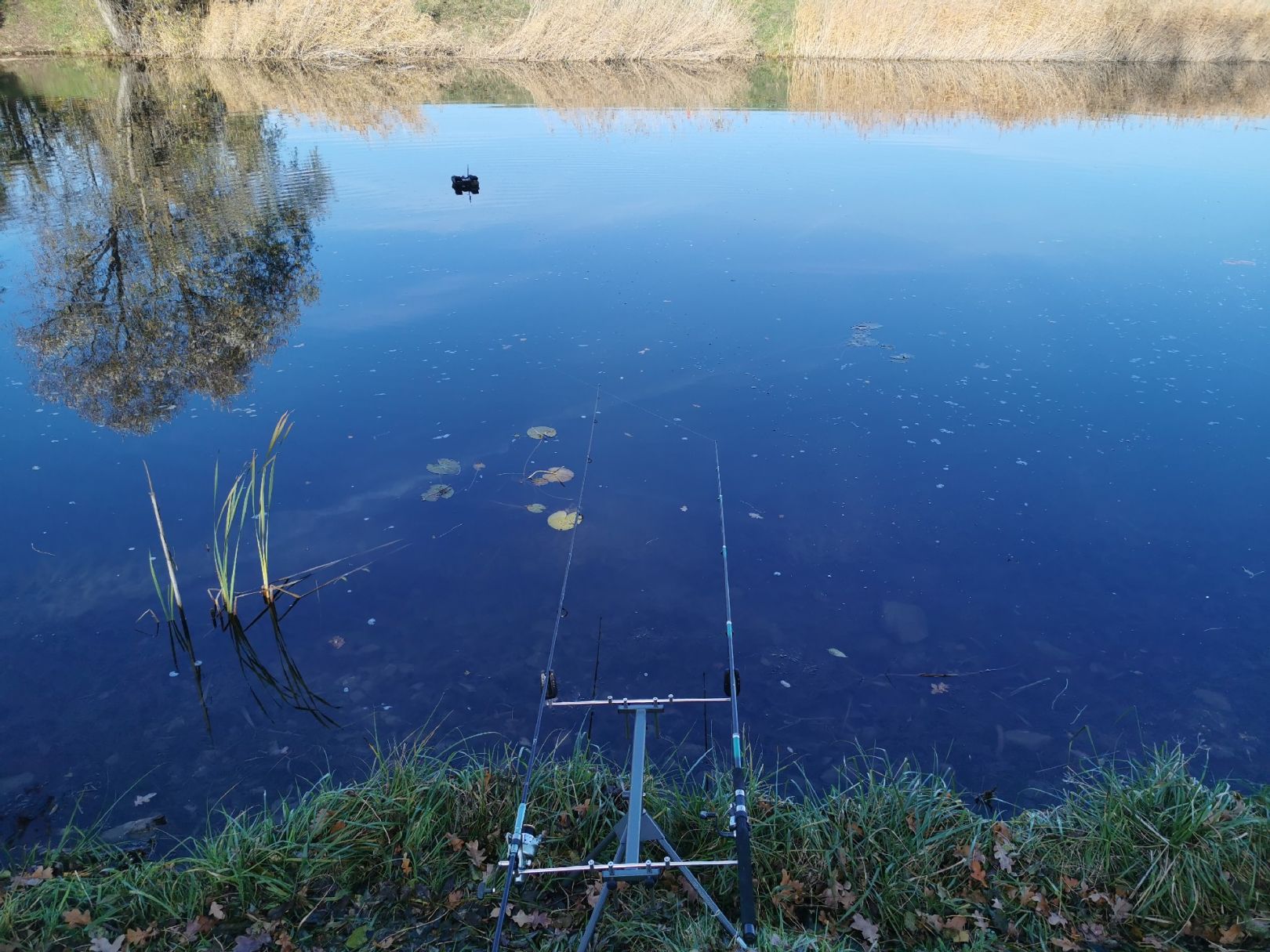 Saale-Leipzig-Kanal (Dölzig) angeln