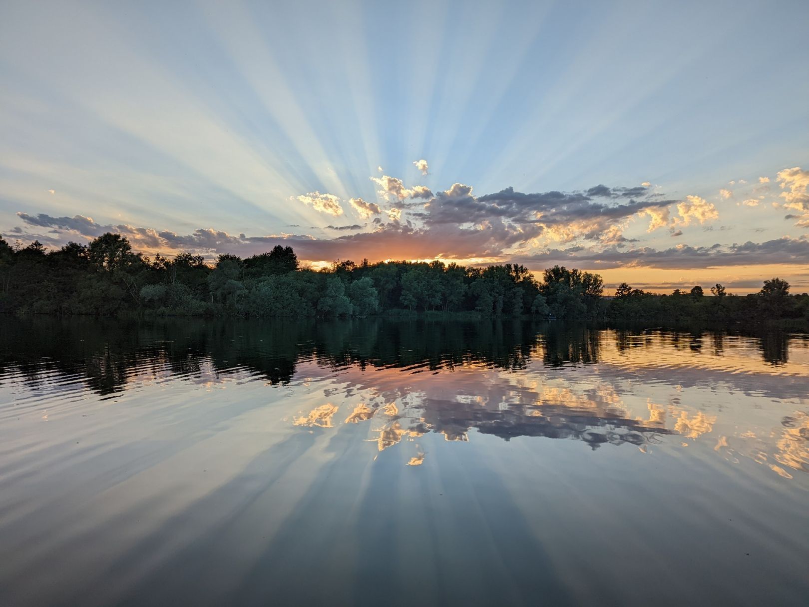 Sonntagssee (Ehingen) angeln