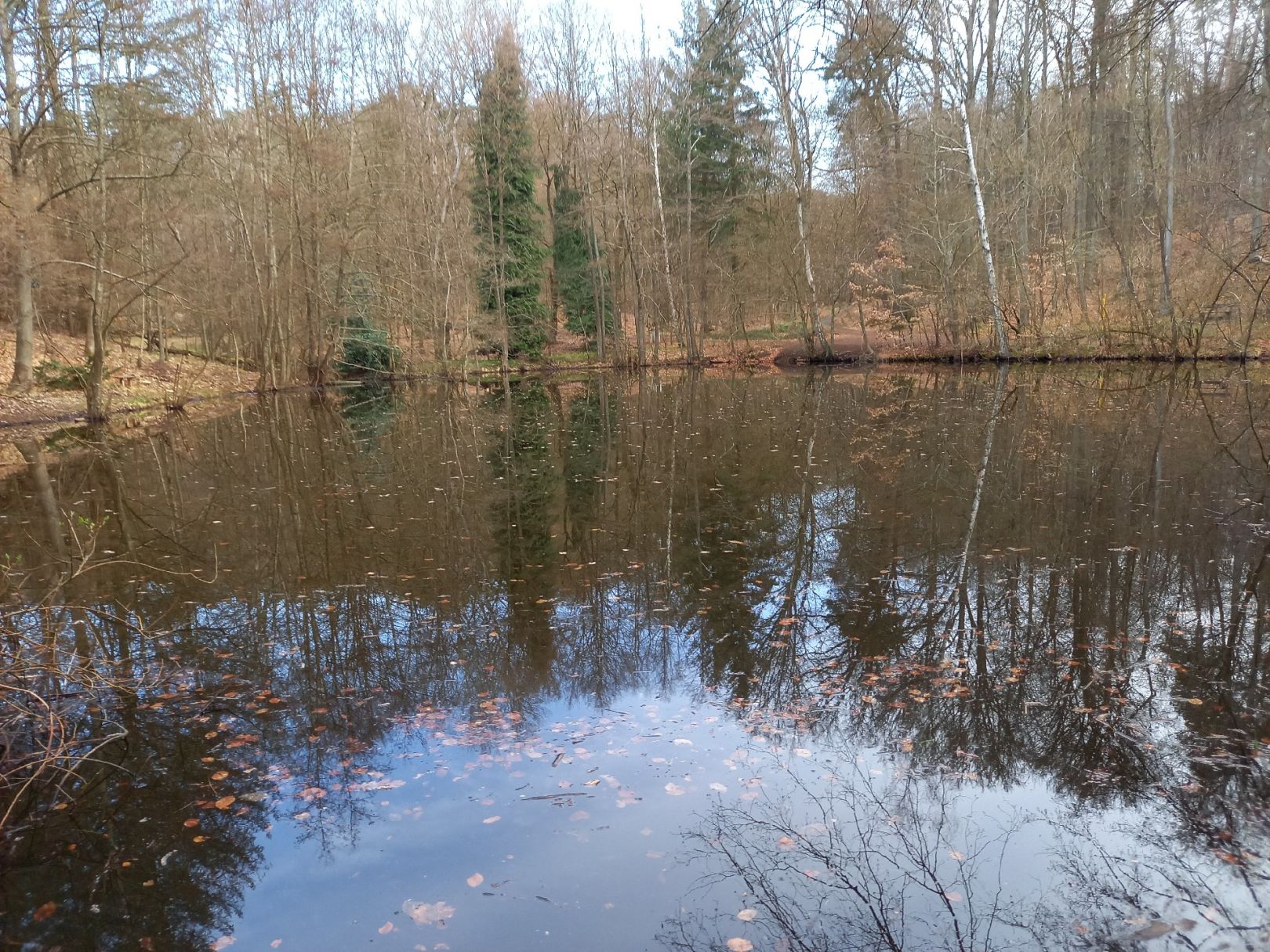 Sauweiher (St. Ingbert) angeln