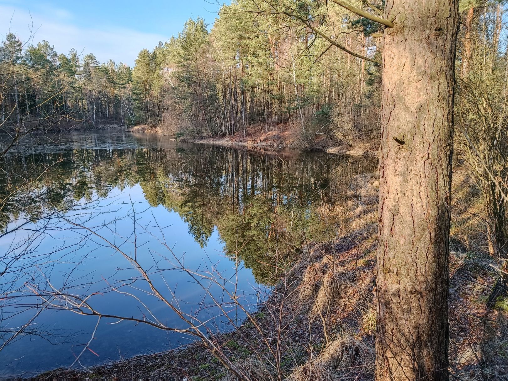 Birkenteich (Faßberg) angeln