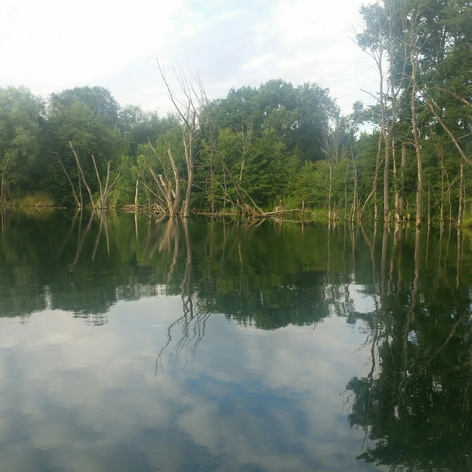 Lehngutbruch (Herzfelde) angeln