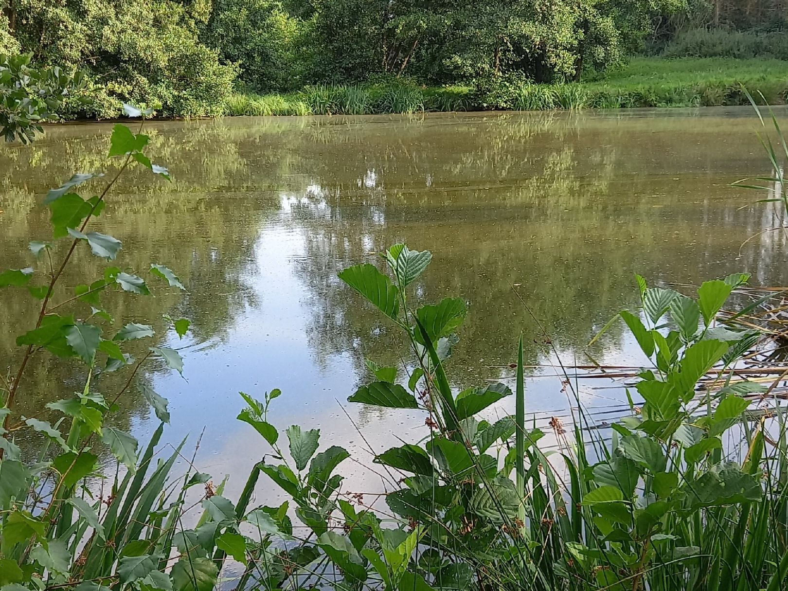 Stöver Teiche (Aldrup) angeln