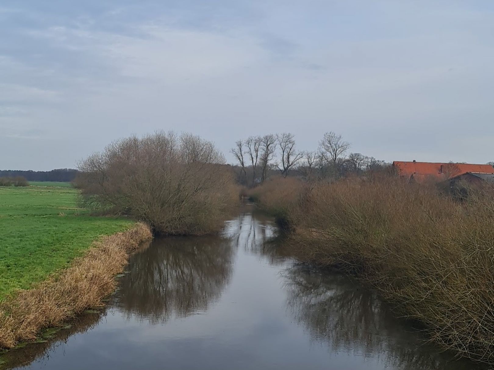 Oste (Minstedt) angeln