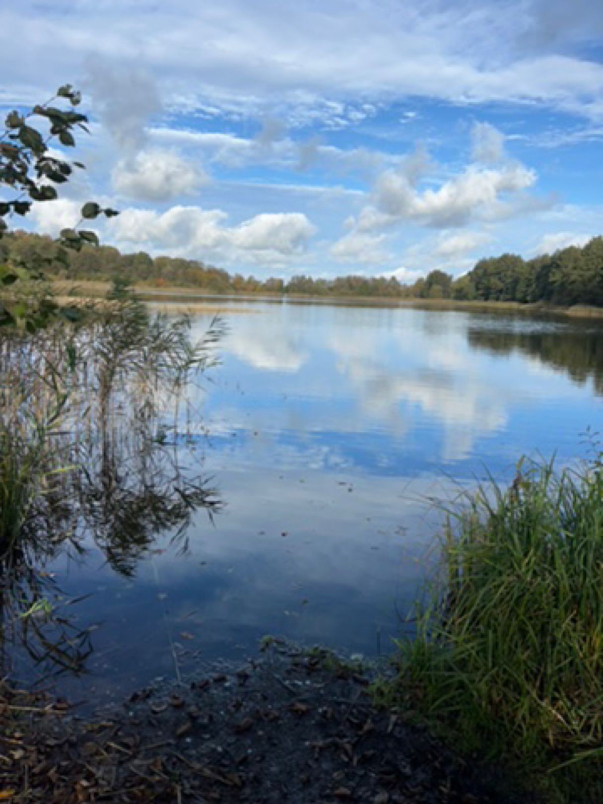 Rehmsee (Brüsewitz) angeln