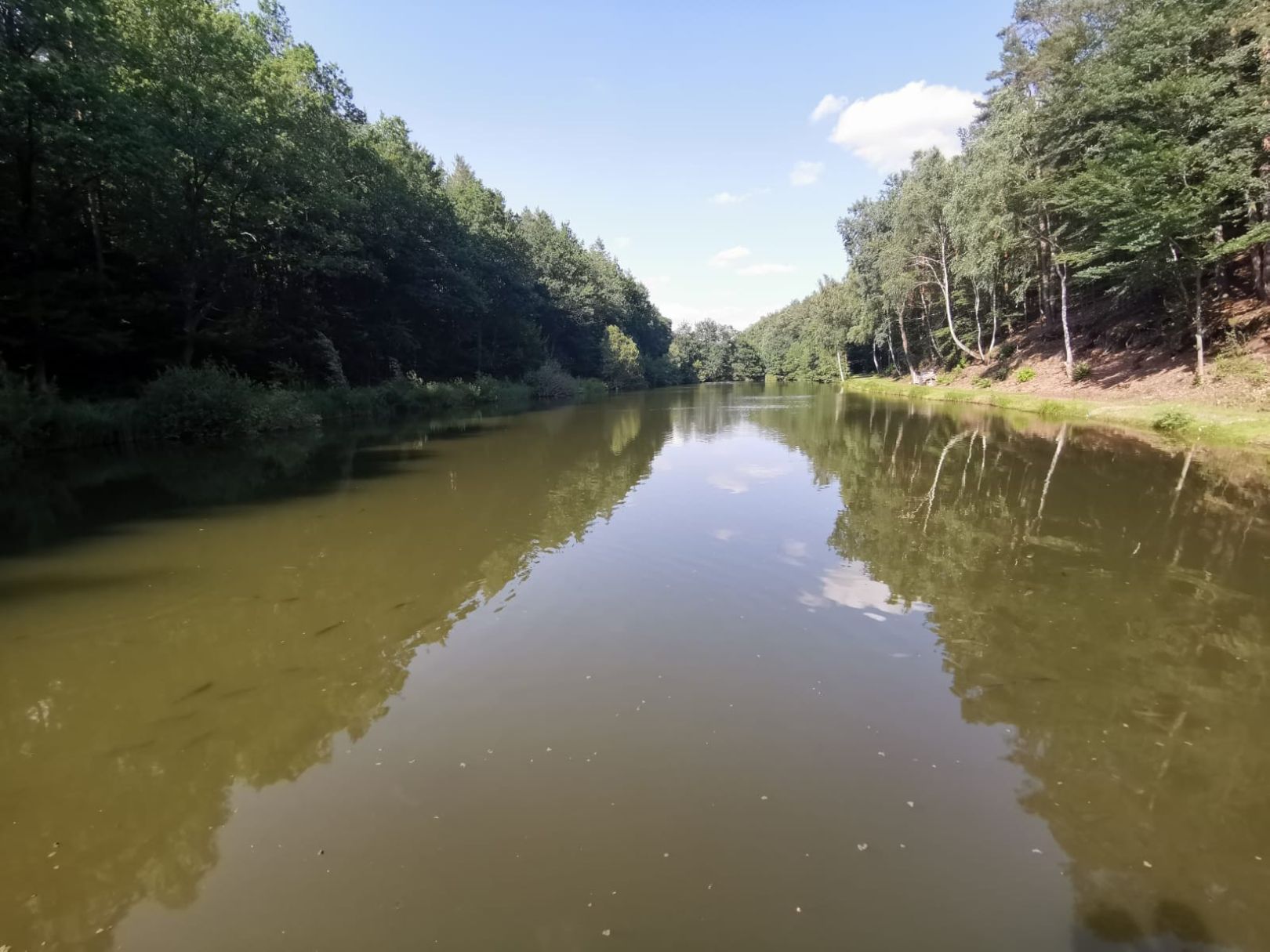 Dauborner Weiher angeln