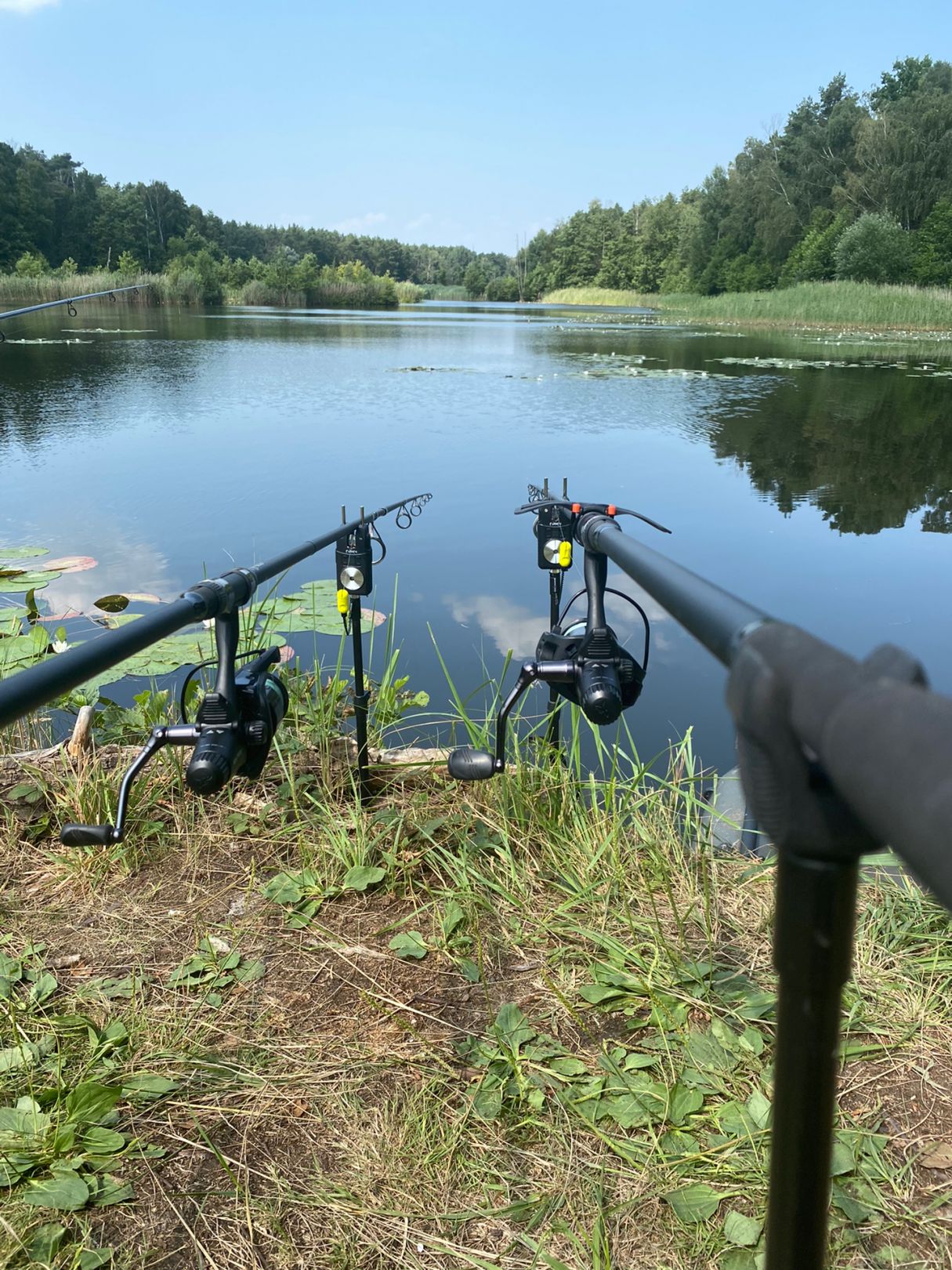 Angeln in Borkwalde