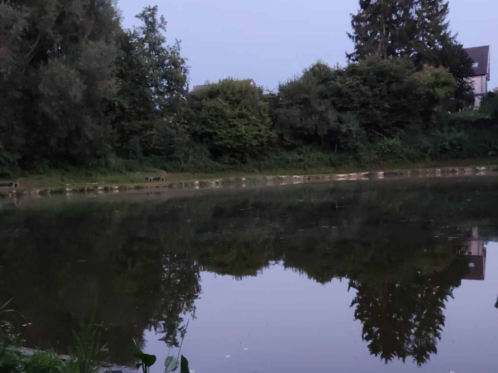 Vereinssee ASV Eschweiler angeln