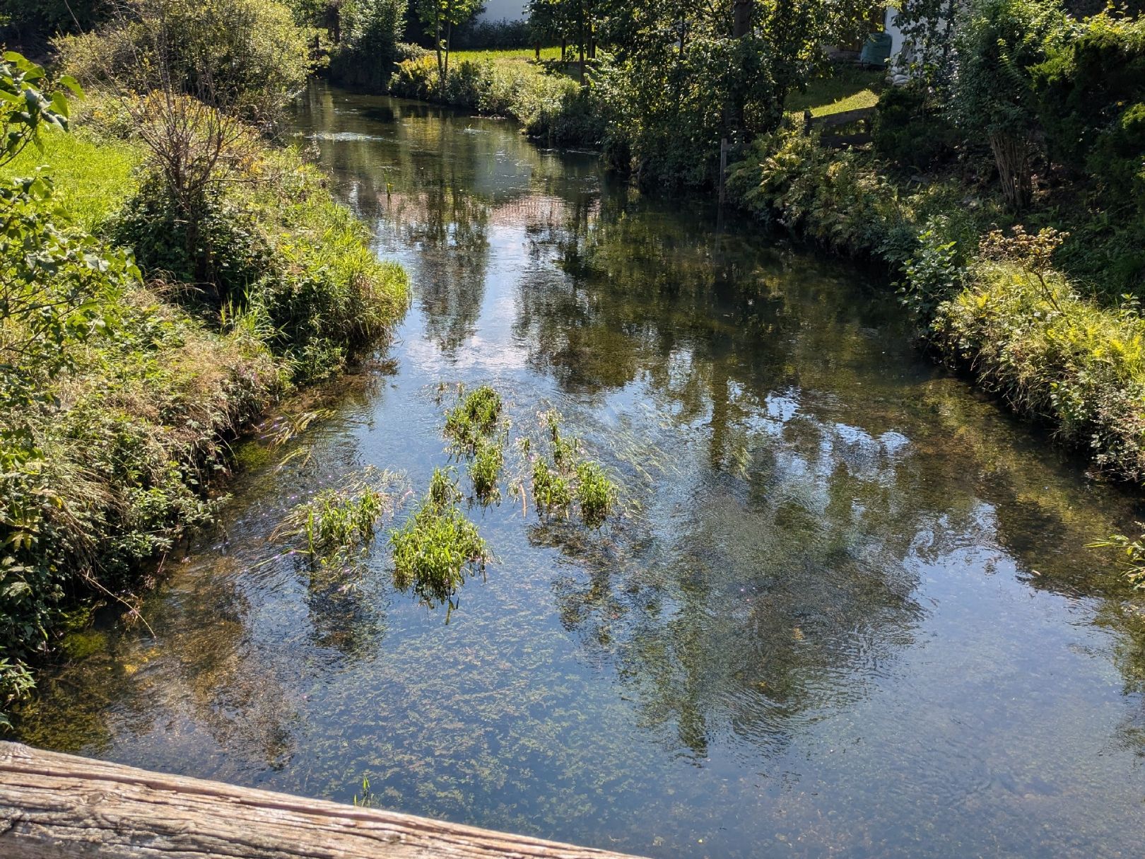 Moosbach (Übersee) angeln