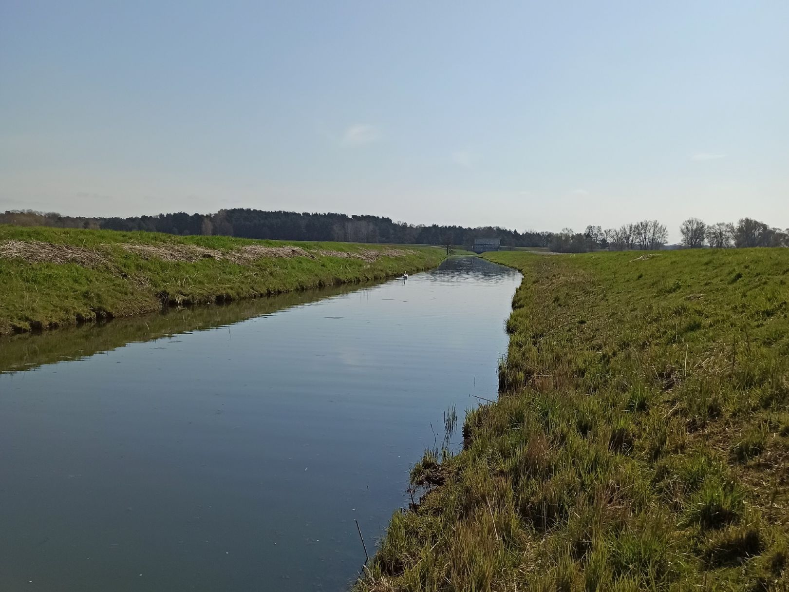 Brückenkanal (Horst) angeln