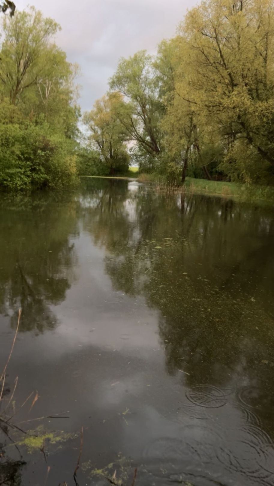 Feuerwehrteich (Bastorf) angeln