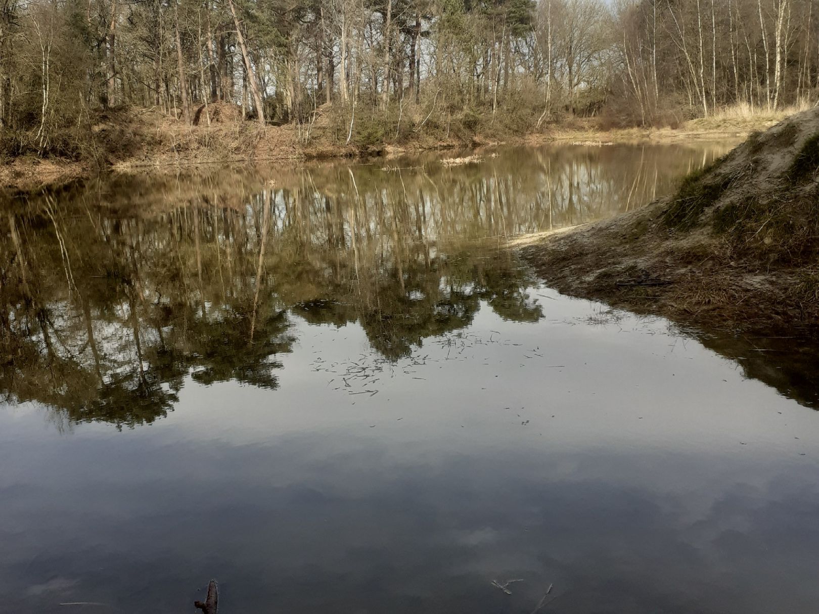 Waldsee Großoldendorf angeln