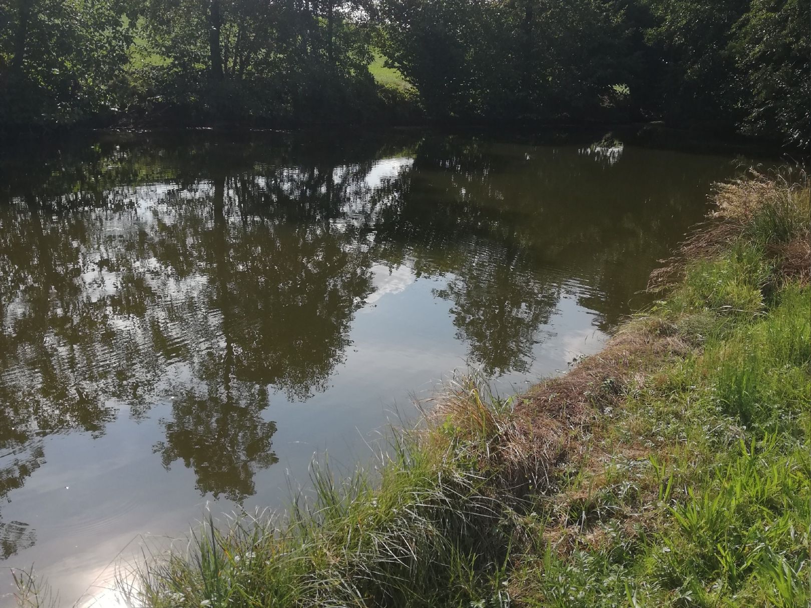 Kleinschaffhausener Weiher angeln