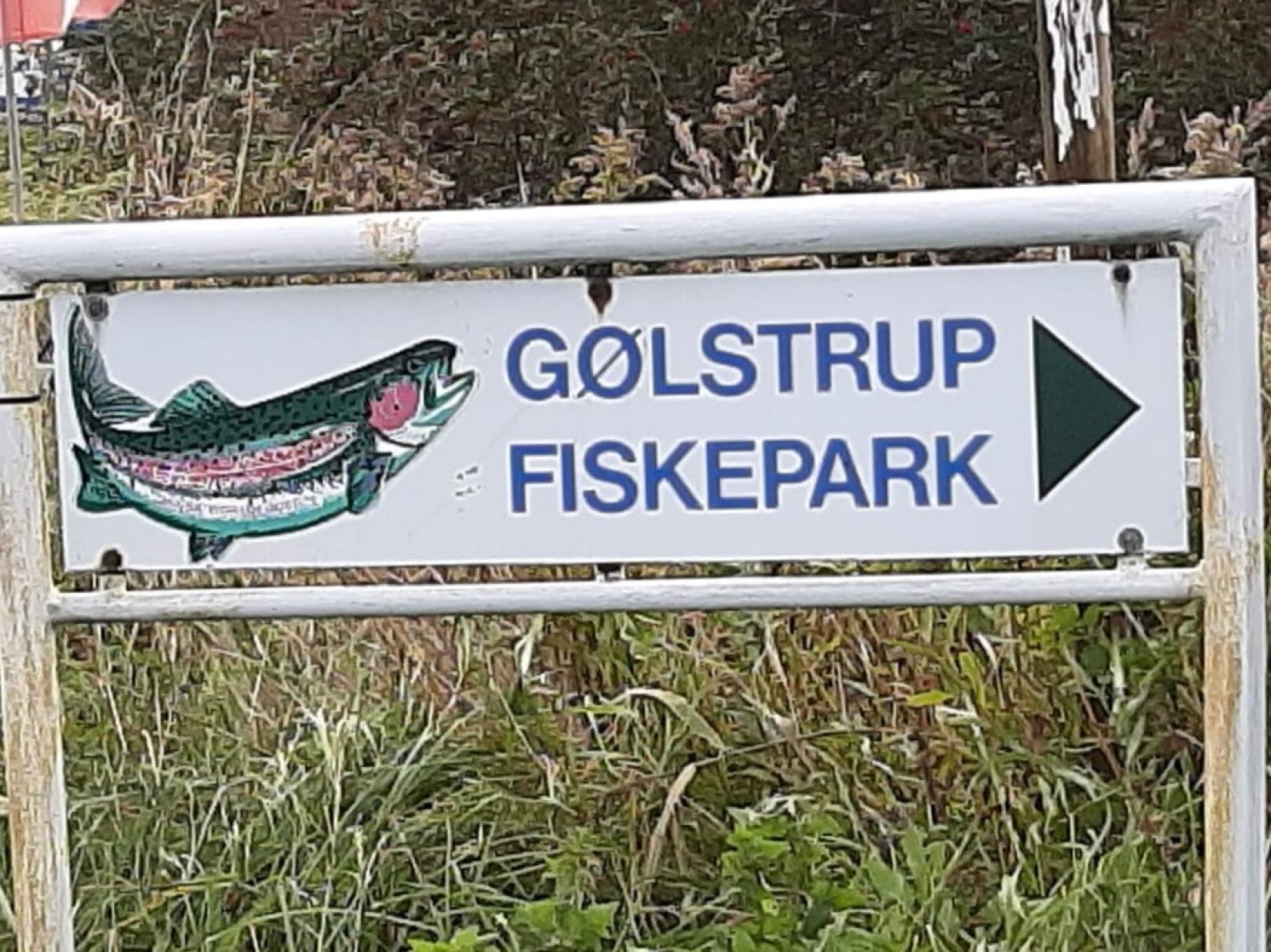 Gølstrup Fiskepark angeln