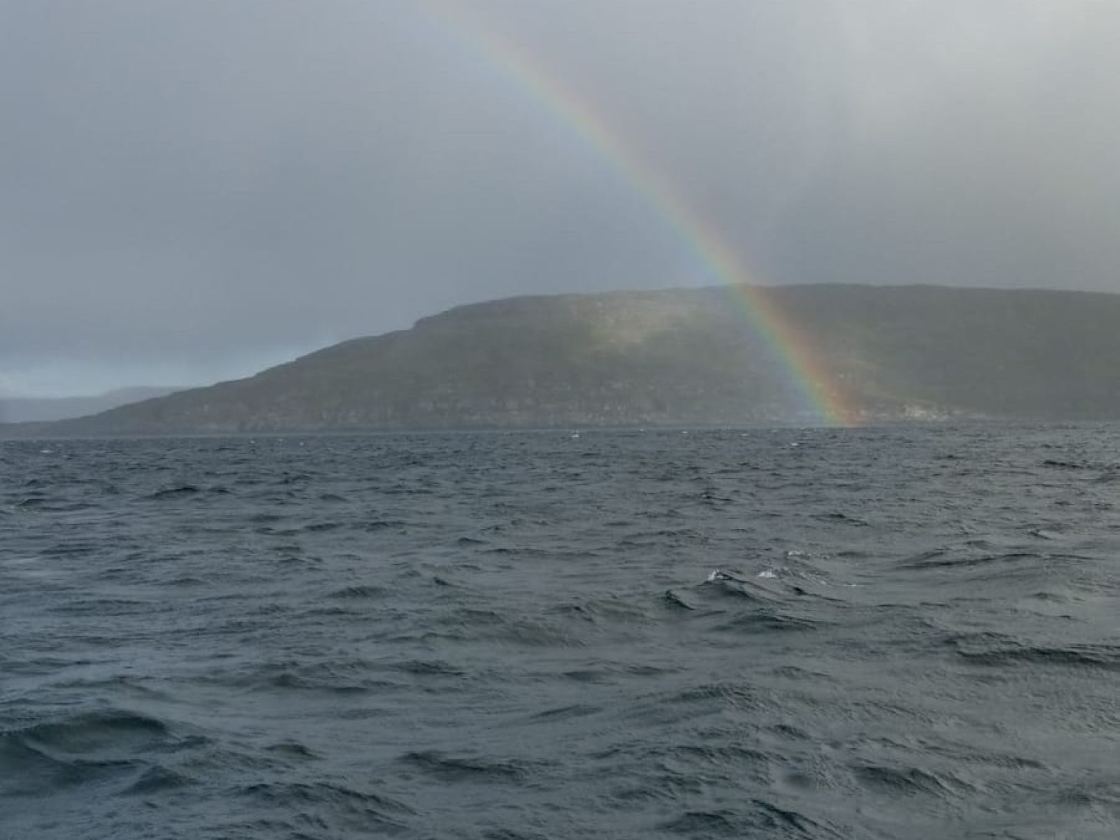 Havøysundet angeln