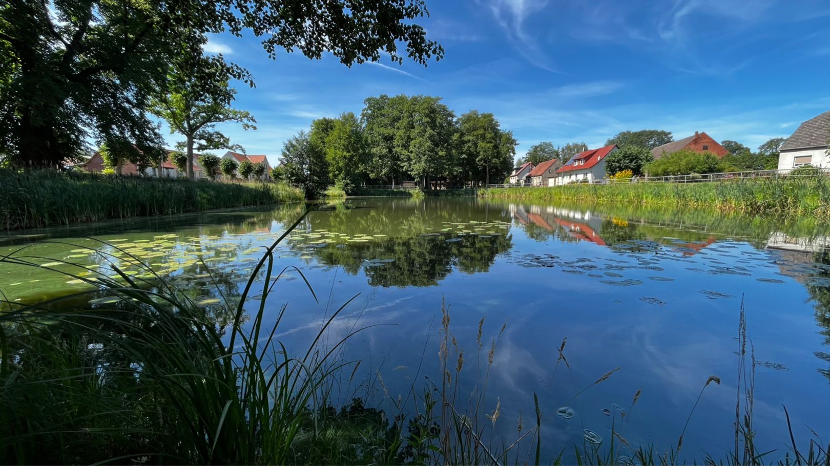 Zaatzker Teich angeln