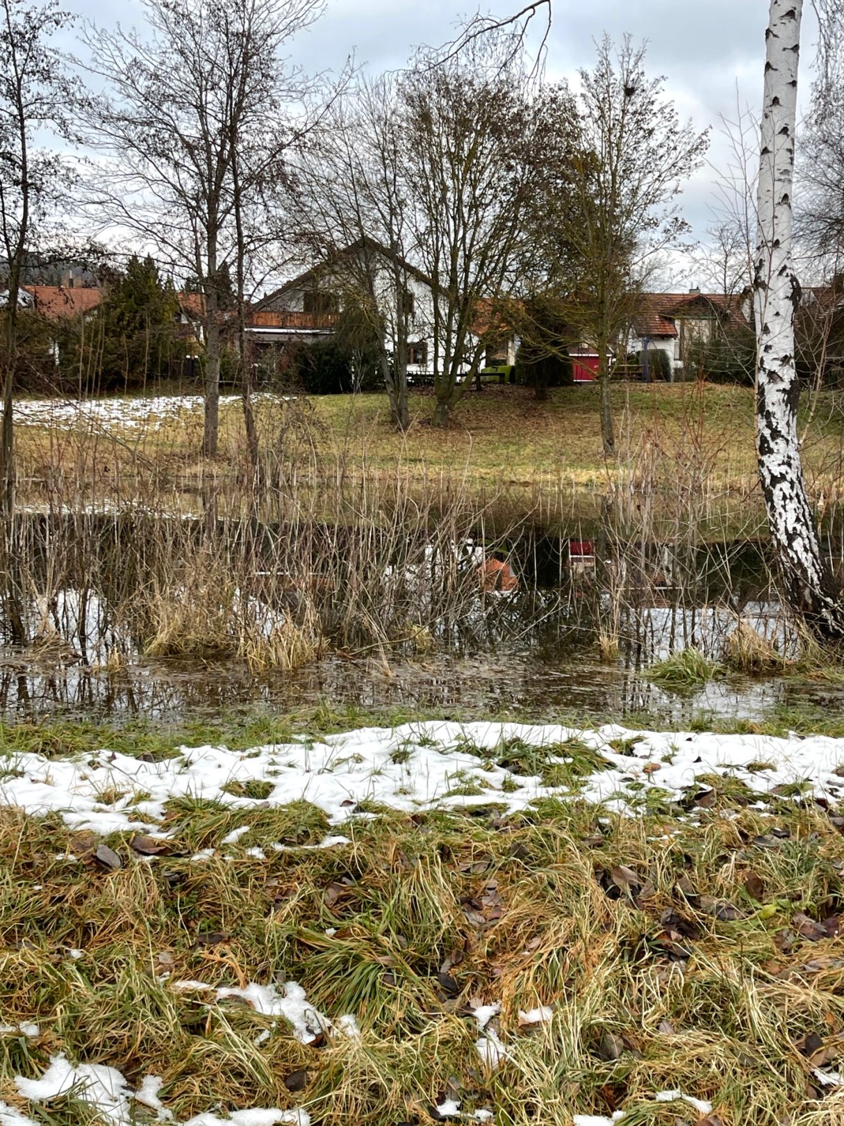 Badweiher angeln