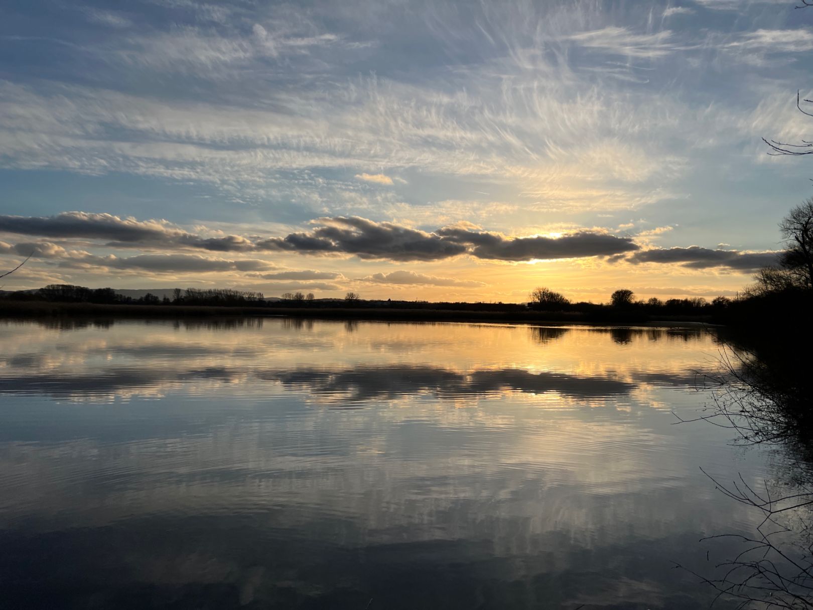 Reinheimer Teich angeln