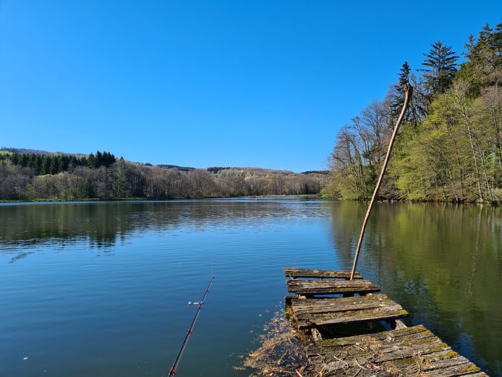 Eulensee (Mariahütte) angeln