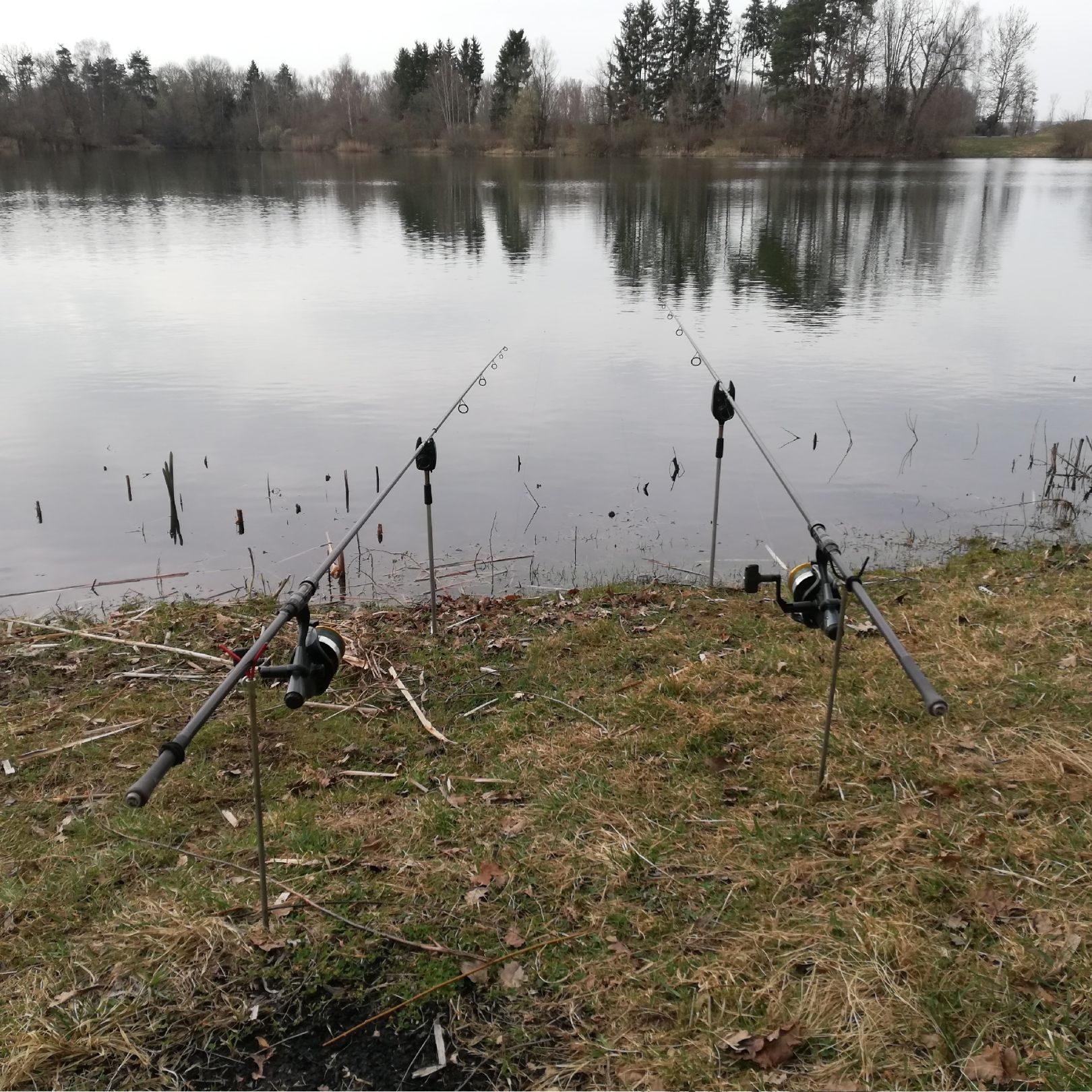 Au-Weiher Rechts (Buxheim) angeln