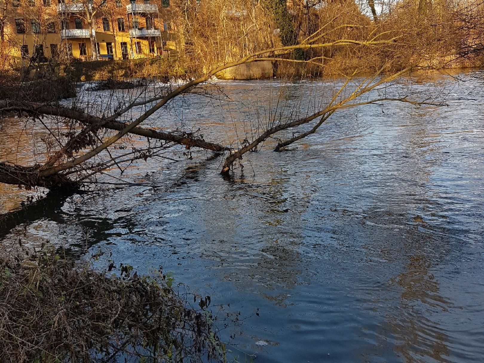 Angeln in Schkeuditz