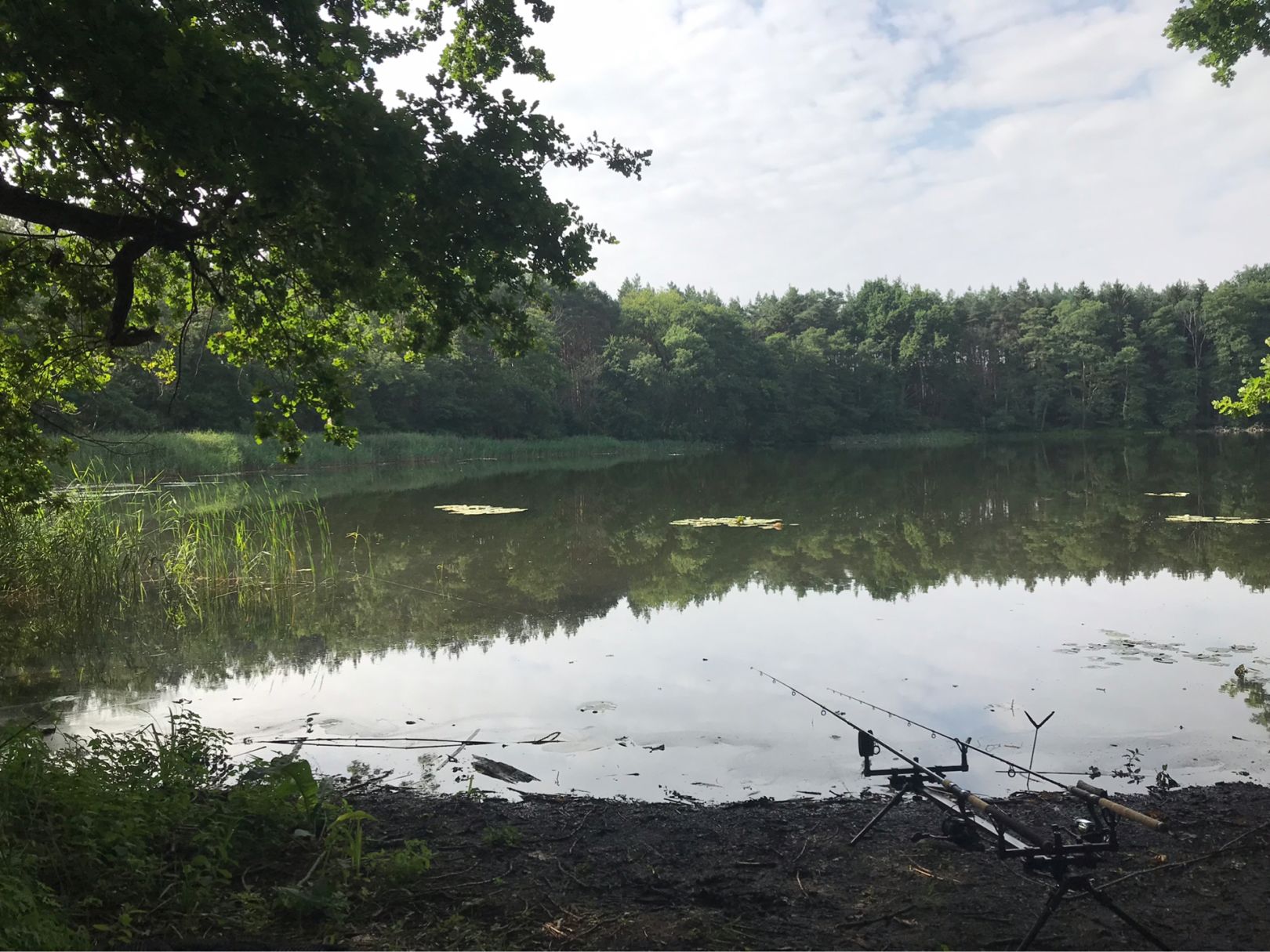 Kesselsee (Altfriedland) angeln