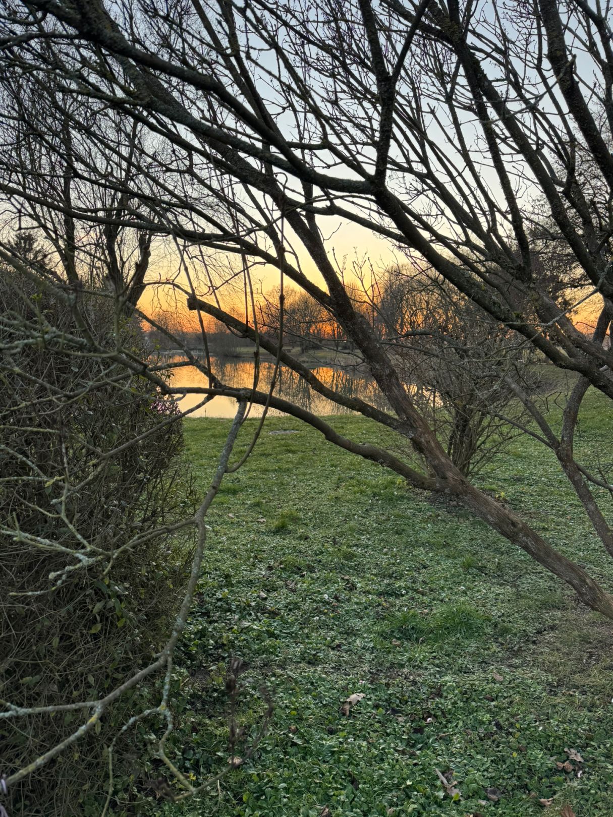 Vereinssee ASV Dossenheim angeln