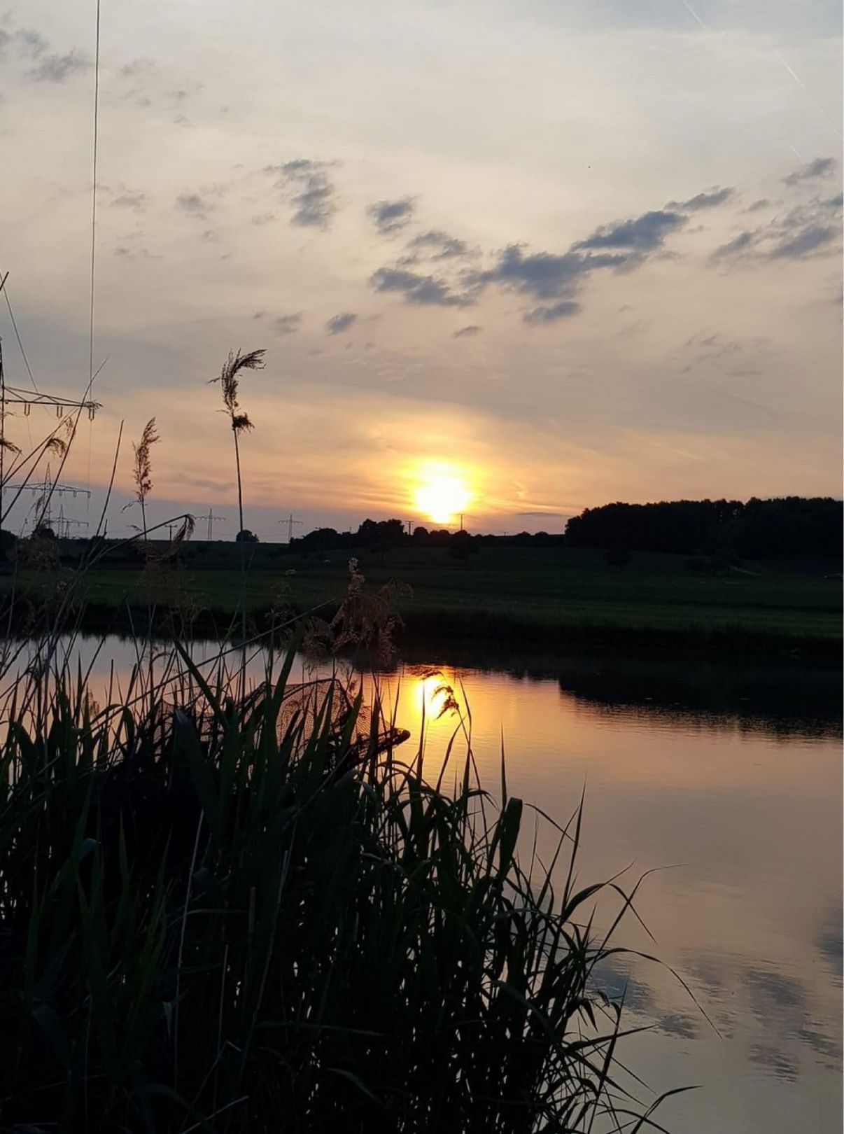 Nonnenweiher (Windelsbach) angeln