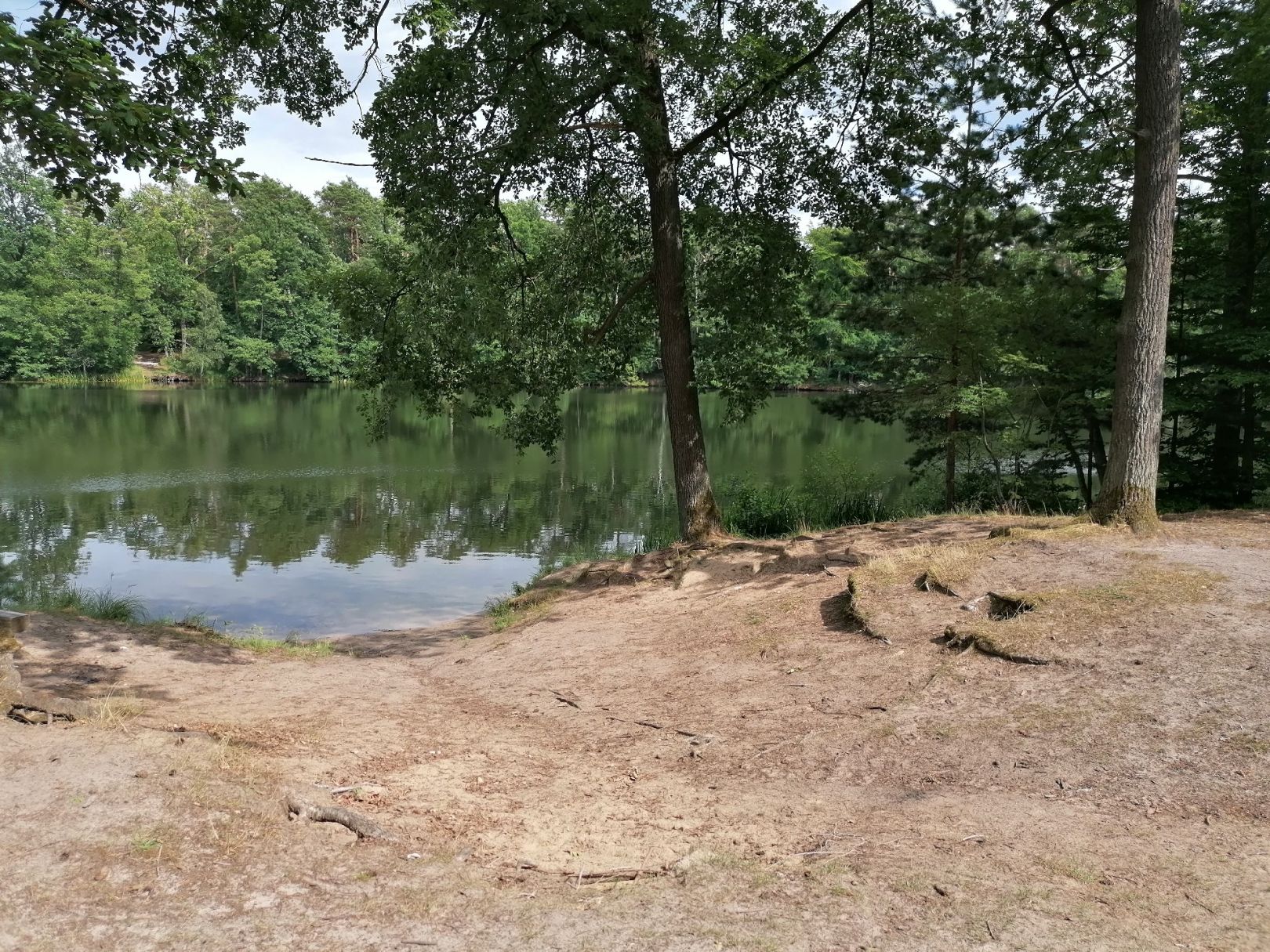 Schampsee (Lehnin) angeln