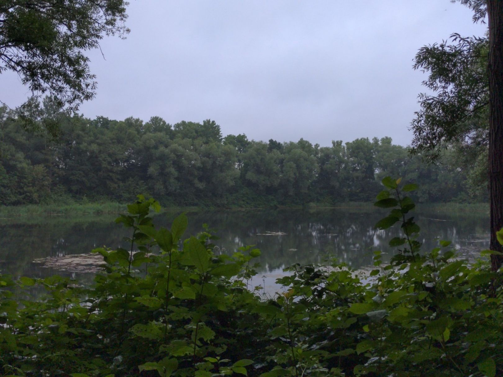 Teich an der Bünder Straße (Löhne) angeln