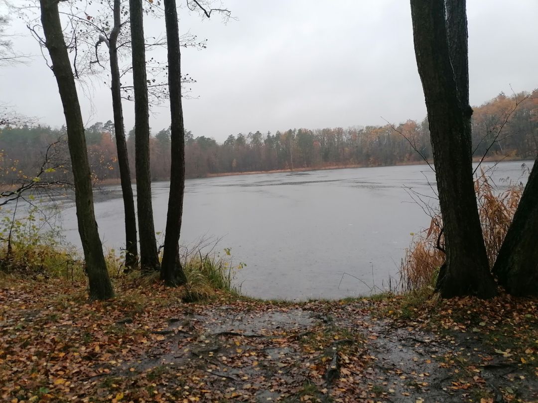 Kleiner Däbersee angeln