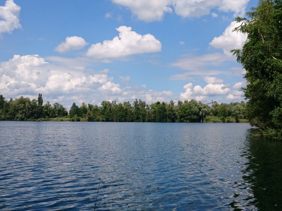 Baggersee Pfander angeln