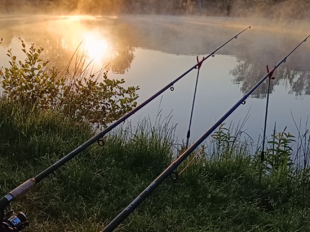 Kleiner Pfordter See angeln