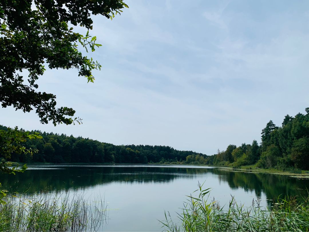 Kleestensee angeln