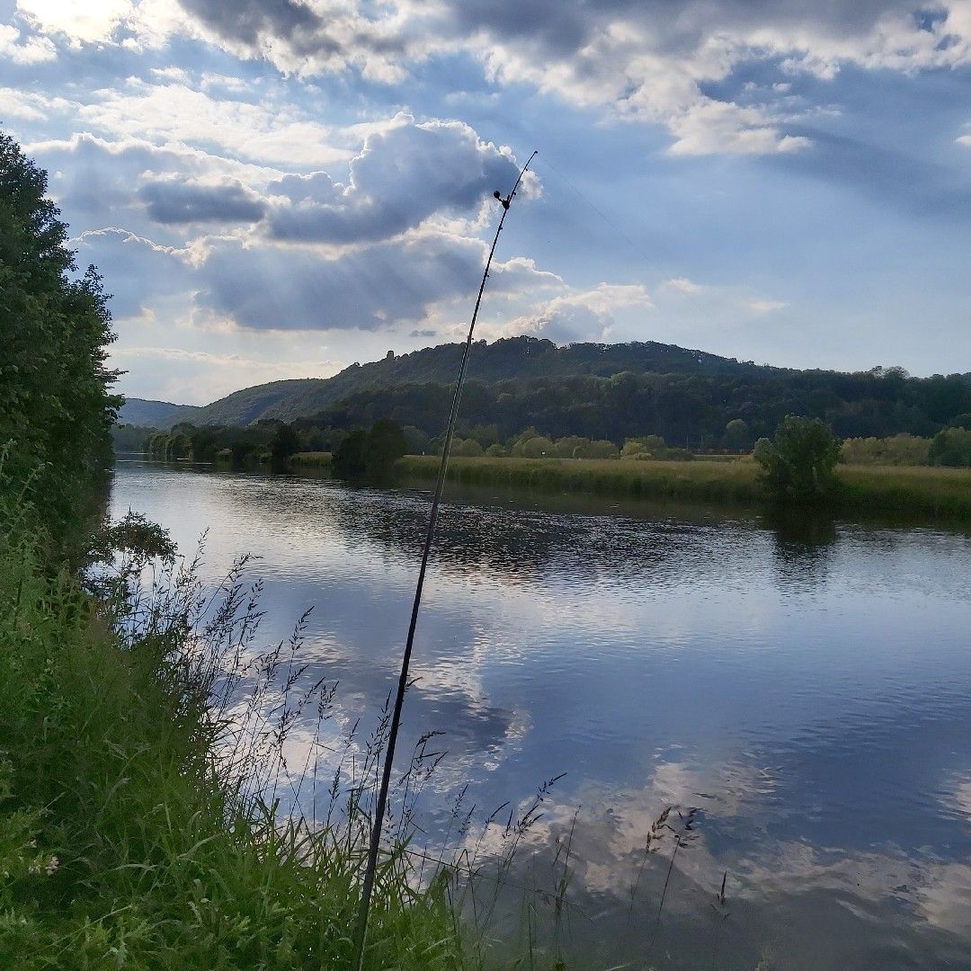 Ruhr (Westhofen) angeln