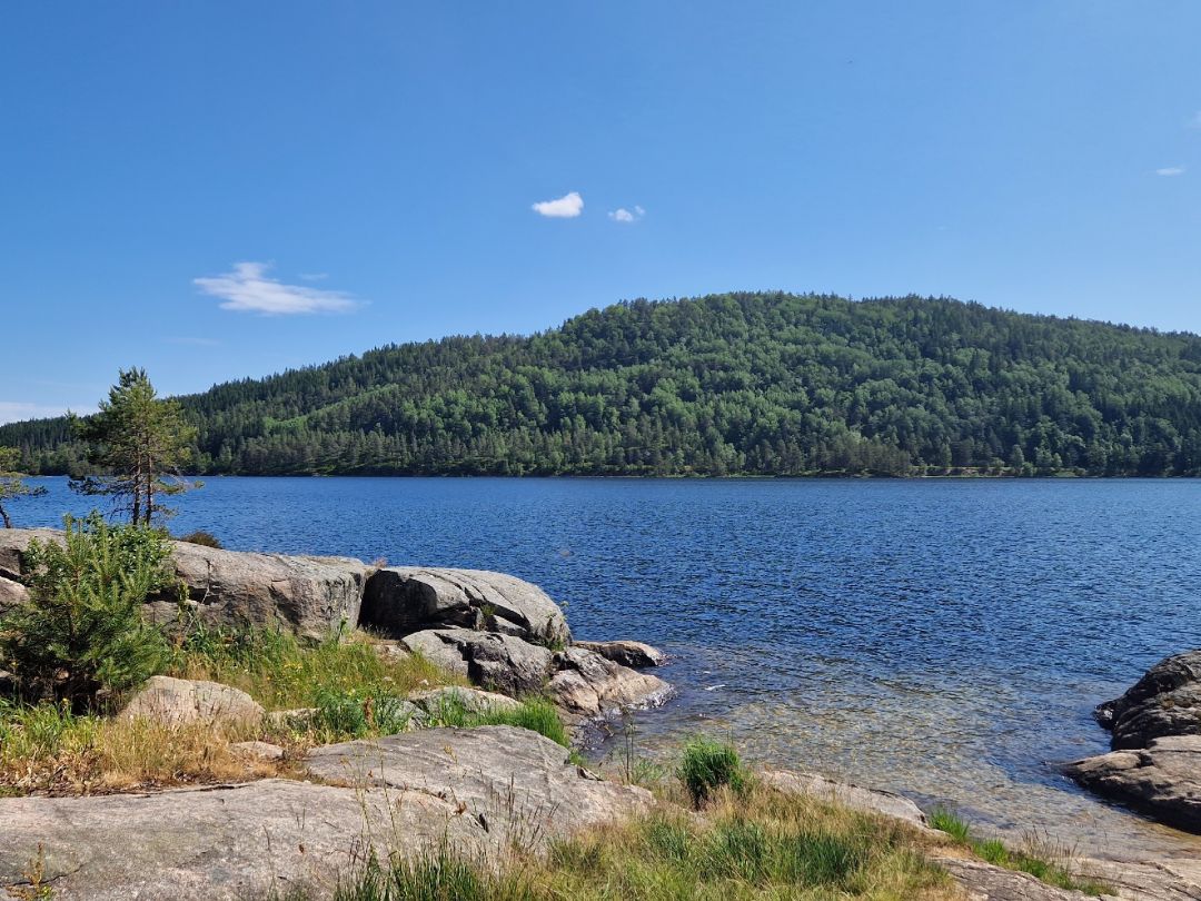 Kilefjorden (Hægeland) angeln