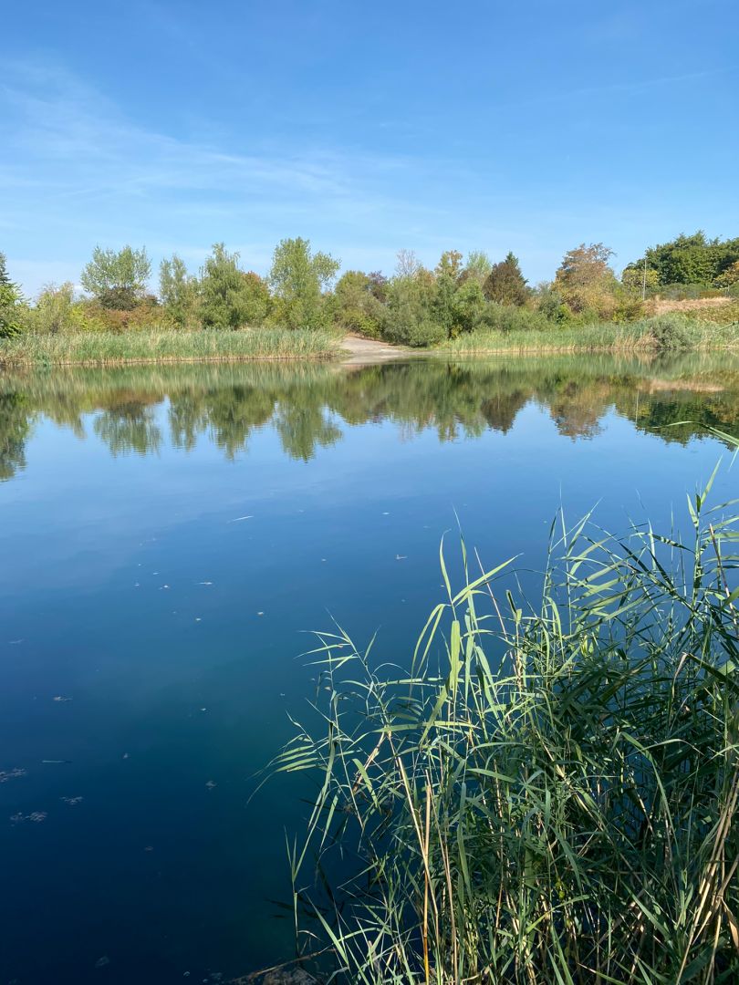 Abelweiher (Oppau) angeln