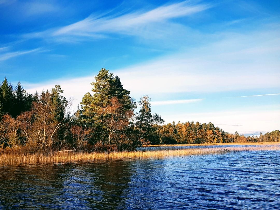 Värsjön angeln