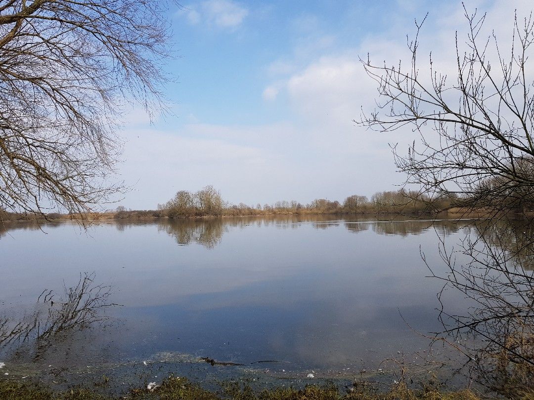 Kiesgrube Könemann (Stolzenau) angeln