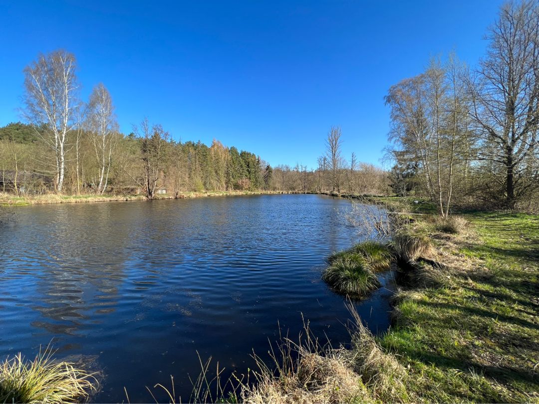 Forellenhof am Finkenberg angeln