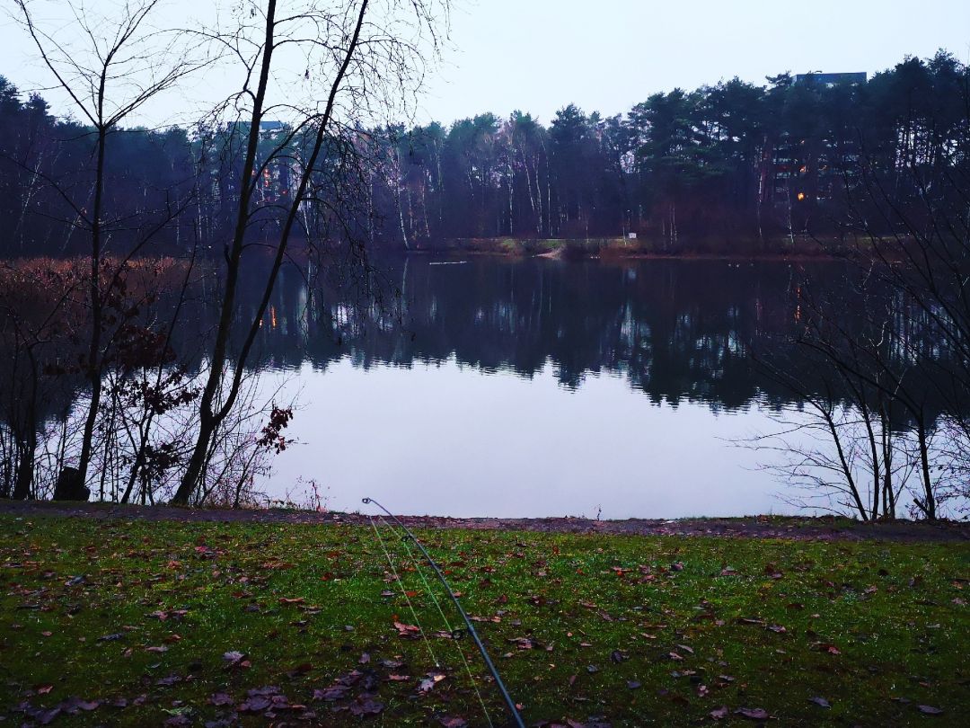 Klein Hehlener Teich angeln